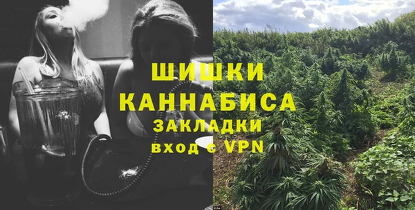 бошки Надым