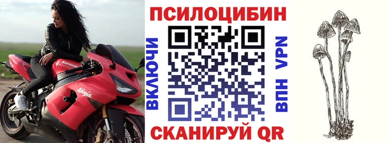 Галлюциногенные грибы GOLDEN TEACHER Электроугли